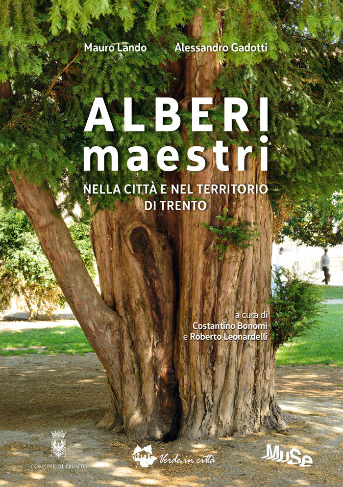 Copertina del libro "Alberi maestri - Nella città e nel territorio di Trento" di Mauro Lando e Alessandro Gadotti